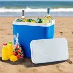 Refrigeratore per cibo da picnic da viaggio cool box blu 24 L grande isolato portatile da campeggio - immagine 3