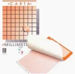 carta millimetrata 21x29,7 fabriano 10 fogli - immagine 2