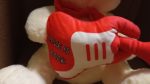 TEDDY LOVE - immagine 2