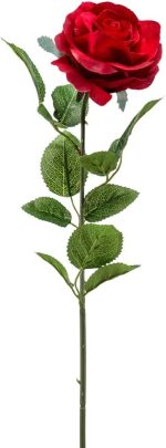 rosa finta